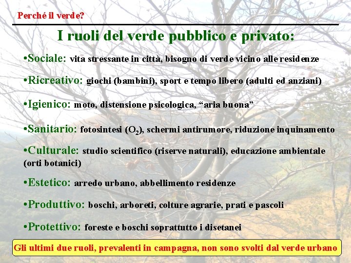 Perché il verde? I ruoli del verde pubblico e privato: • Sociale: vita stressante