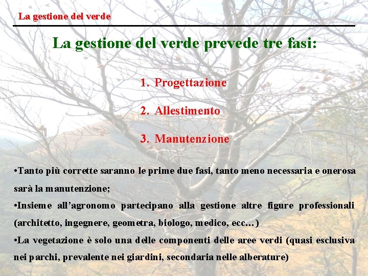 La gestione del verde prevede tre fasi: 1. Progettazione 2. Allestimento 3. Manutenzione •