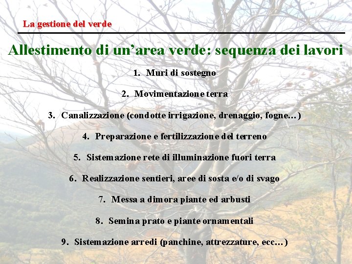 La gestione del verde Allestimento di un’area verde: sequenza dei lavori 1. Muri di