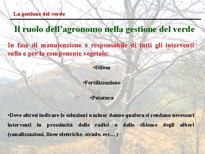 La gestione del verde Il ruolo dell’agronomo nella gestione del verde In fase di