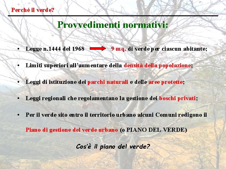 Perché il verde? Provvedimenti normativi: • Legge n. 1444 del 1968 9 mq. di