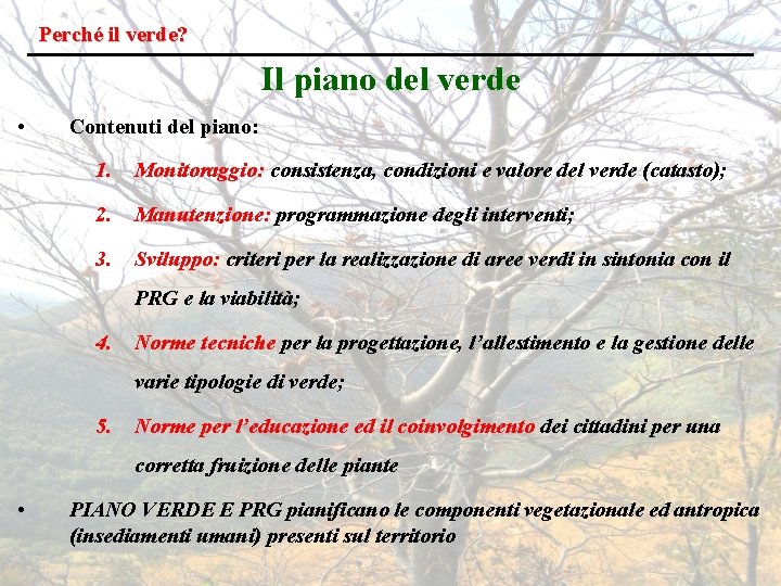 Perché il verde? Il piano del verde • Contenuti del piano: 1. Monitoraggio: consistenza,