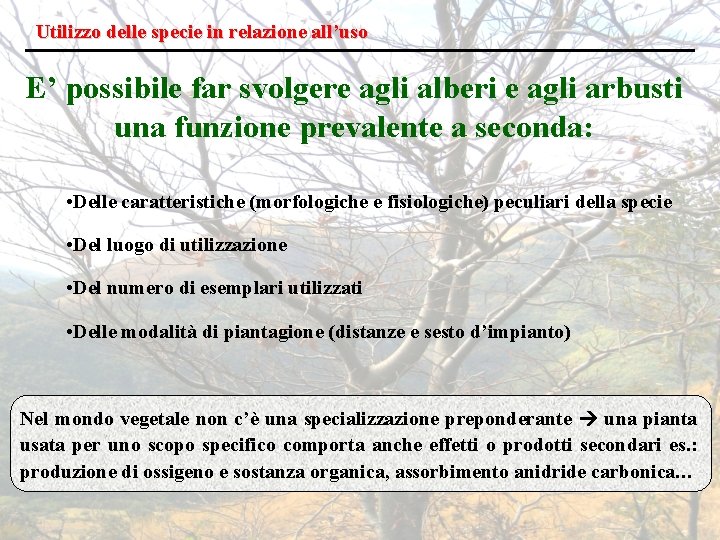 Utilizzo delle specie in relazione all’uso E’ possibile far svolgere agli alberi e agli