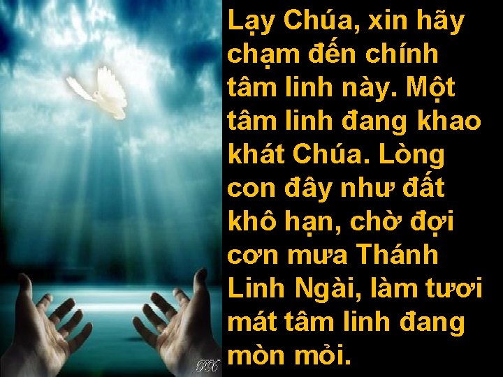 Lạy Chúa, xin hãy chạm đến chính tâm linh này. Một tâm linh đang