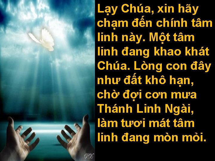 Lạy Chúa, xin hãy chạm đến chính tâm linh này. Một tâm linh đang