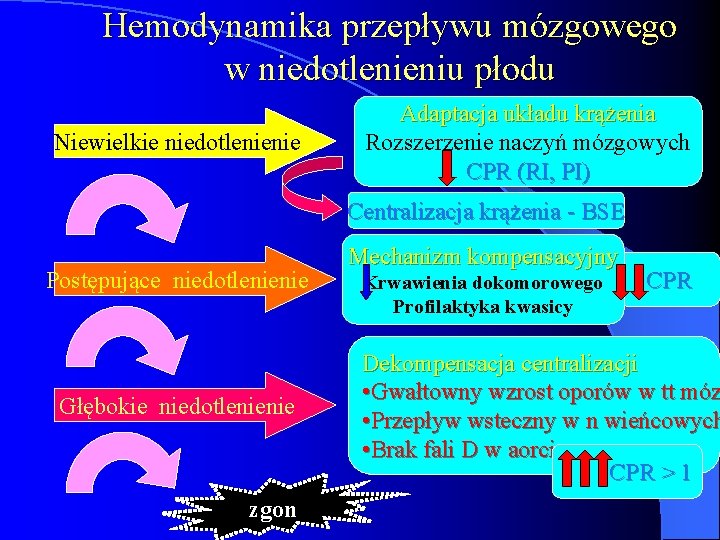 Hemodynamika przepływu mózgowego w niedotlenieniu płodu Niewielkie niedotlenienie Adaptacja układu krążenia Rozszerzenie naczyń mózgowych