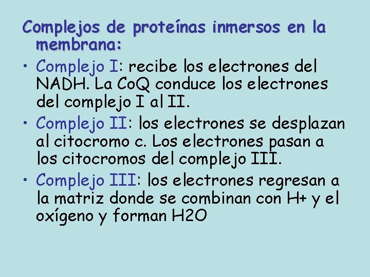 Complejos de proteínas inmersos en la membrana: • Complejo I: recibe los electrones del Complejos de proteínas inmersos en la membrana: • Complejo I: recibe los electrones del