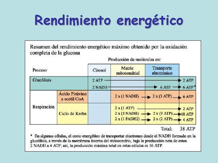 Rendimiento energético 