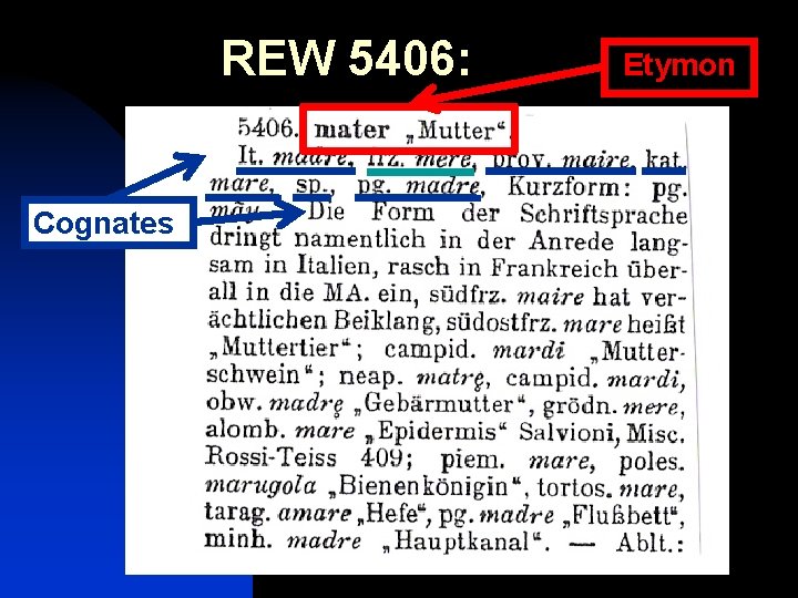 REW 5406: Cognates Etymon 