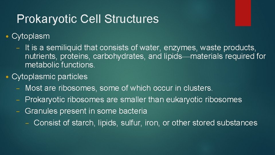 Prokaryotic Cell Structures Cytoplasm – It is a semiliquid that consists of water, enzymes,