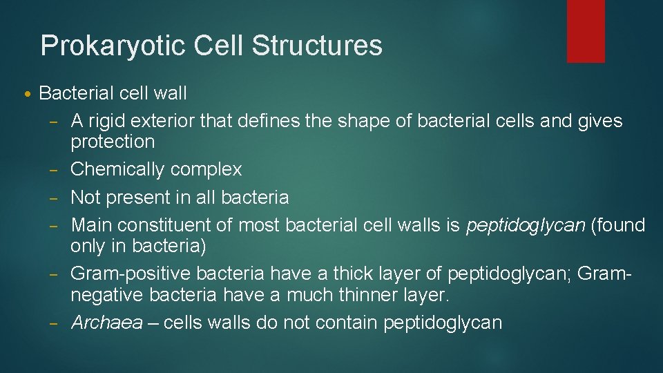Prokaryotic Cell Structures • Bacterial cell wall – A rigid exterior that defines the