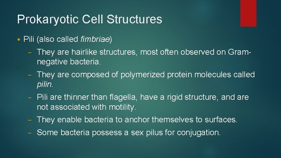 Prokaryotic Cell Structures • Pili (also called fimbriae) – They are hairlike structures, most
