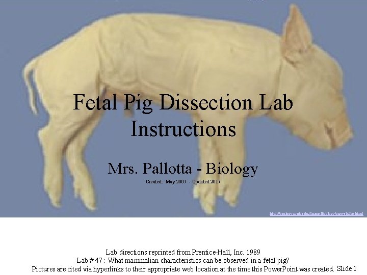 Fetal Pig Dissection Lab Instructions Mrs. Pallotta - Biology Created: May 2007 - Updated