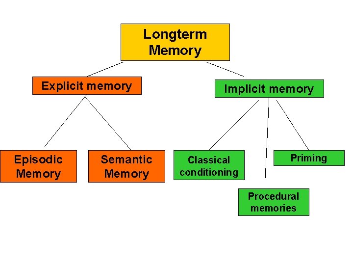 Longterm Memory Explicit memory Episodic Memory Semantic Memory Implicit memory Classical conditioning Priming Procedural