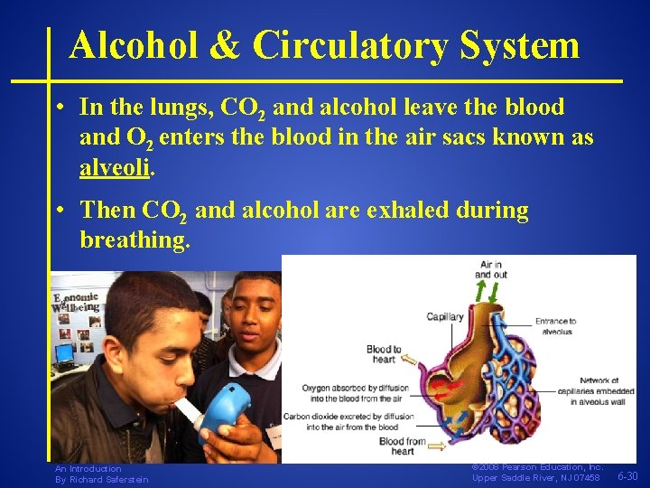 Alcohol & Circulatory System • In the lungs, CO 2 and alcohol leave the