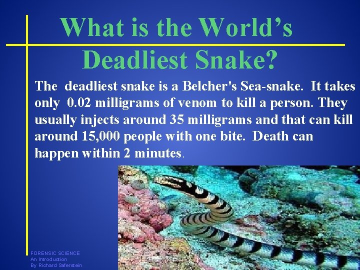 What is the World’s Deadliest Snake? The deadliest snake is a Belcher's Sea-snake. It What is the World’s Deadliest Snake? The deadliest snake is a Belcher's Sea-snake. It