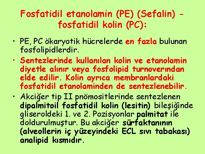 Fosfatidil etanolamin (PE) (Sefalin) fosfatidil kolin (PC): • PE, PC ökaryotik hücrelerde en fazla