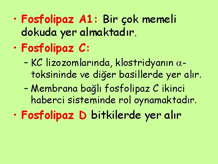  • Fosfolipaz A 1: Bir çok memeli dokuda yer almaktadır. • Fosfolipaz C: