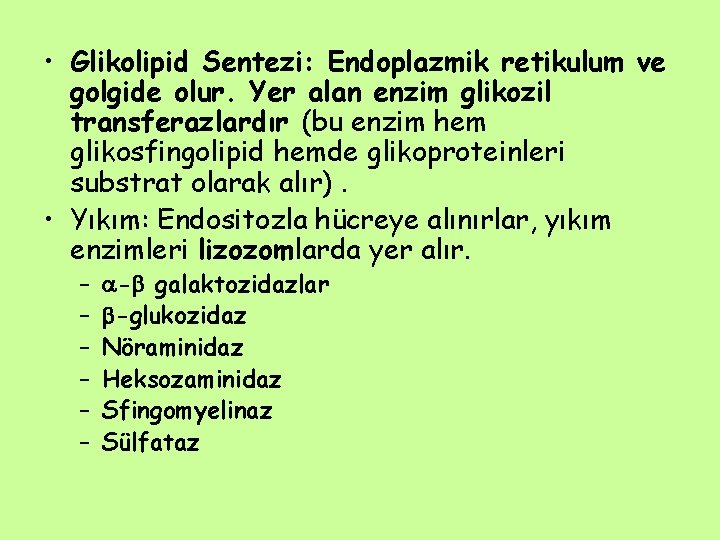  • Glikolipid Sentezi: Endoplazmik retikulum ve golgide olur. Yer alan enzim glikozil transferazlardır