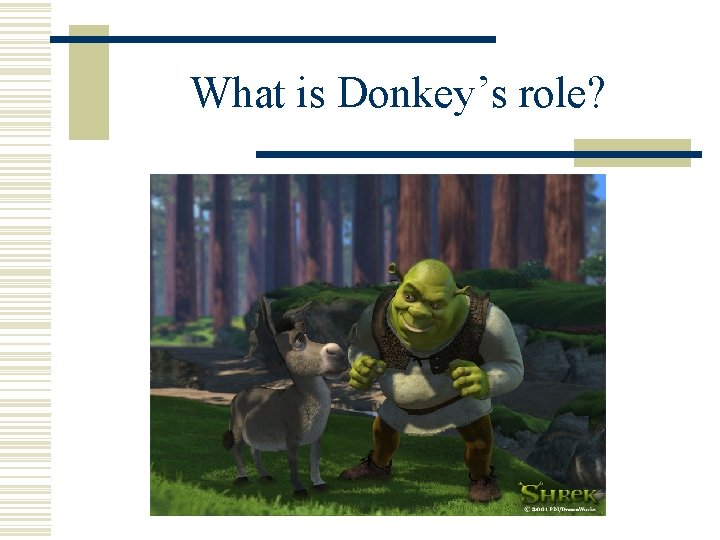 What is Donkey’s role? 