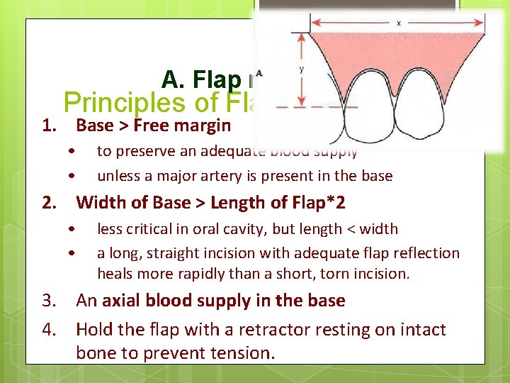 A. Flap necrosis Principles of Flap Design 1. Base > Free margin • •