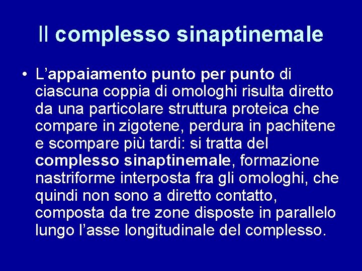 Il complesso sinaptinemale • L’appaiamento punto per punto di ciascuna coppia di omologhi risulta
