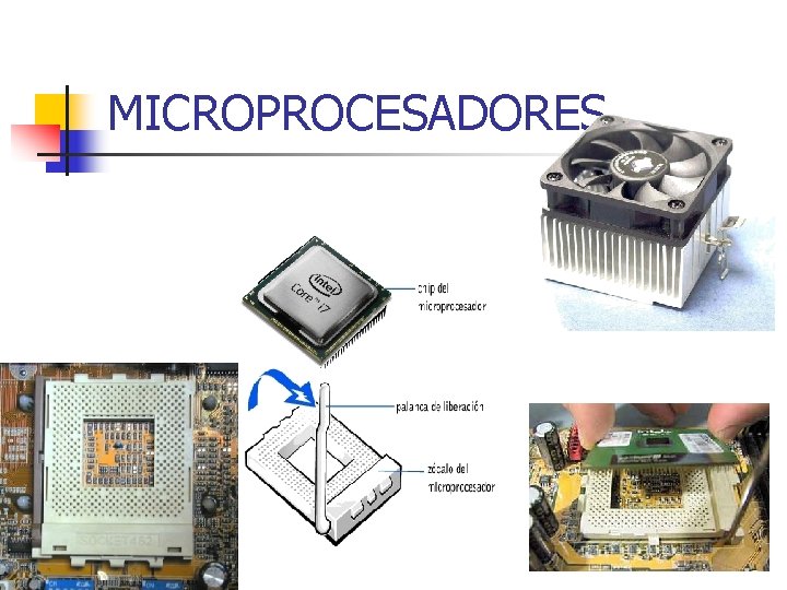 MICROPROCESADORES 