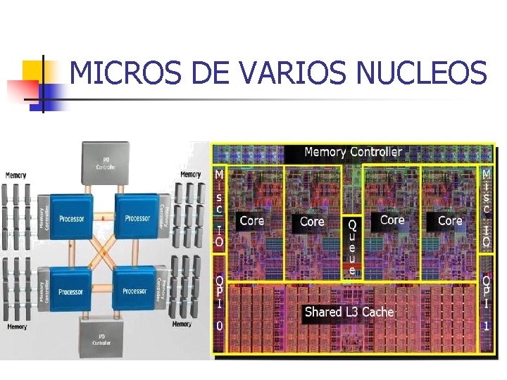 MICROS DE VARIOS NUCLEOS 