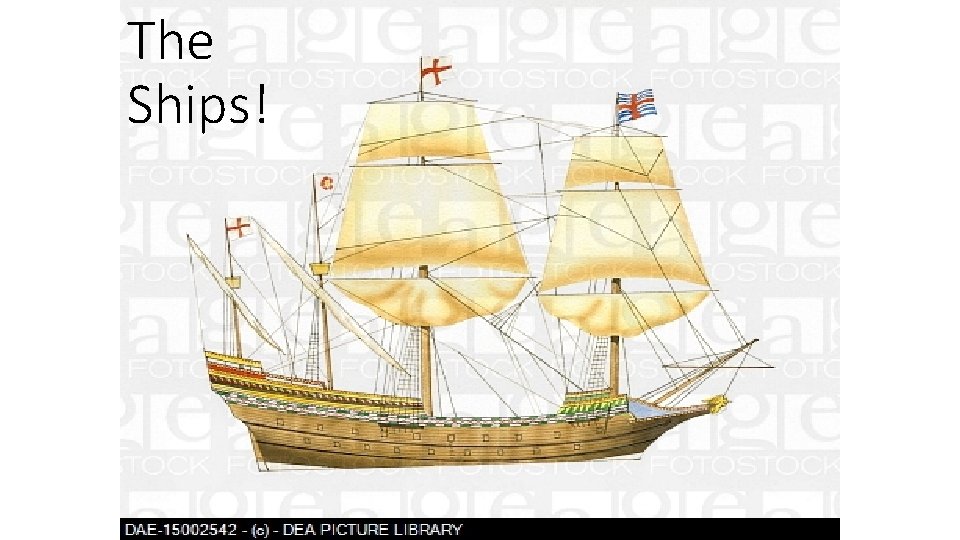 The Ships! 