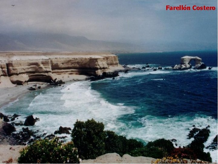 Farellón Costero 