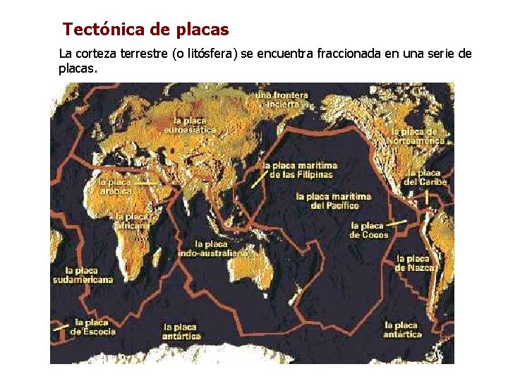 Tectónica de placas La corteza terrestre (o litósfera) se encuentra fraccionada en una serie