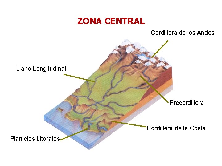 ZONA CENTRAL Cordillera de los Andes Llano Longitudinal Precordillera Cordillera de la Costa Planicies