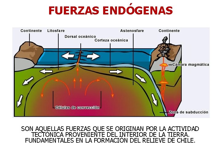 FUERZAS ENDÓGENAS SON AQUELLAS FUERZAS QUE SE ORIGINAN POR LA ACTIVIDAD TECTÓNICA PROVENIENTE DEL