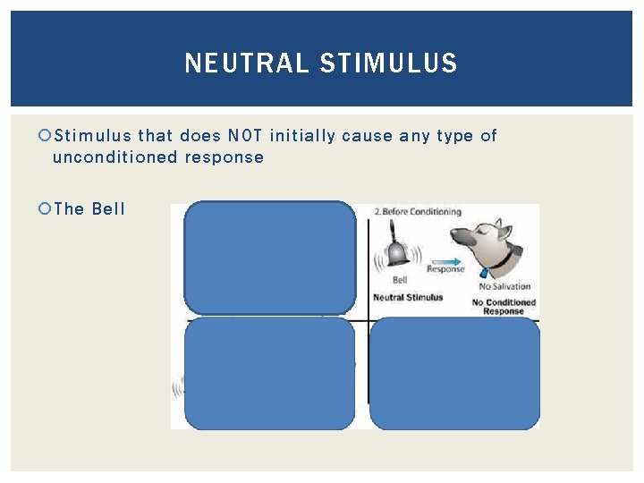 NEUTRAL STIMULUS Stimulus that does NOT initially cause any type of unconditioned response The