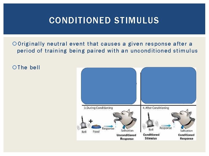 CONDITIONED STIMULUS Originally neutral event that causes a given response after a period of