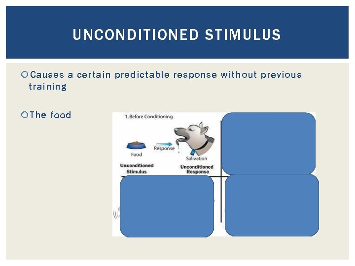 UNCONDITIONED STIMULUS Causes a certain predictable response without previous training The food 