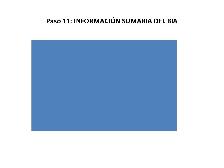 Paso 11: INFORMACIÓN SUMARIA DEL BIA 