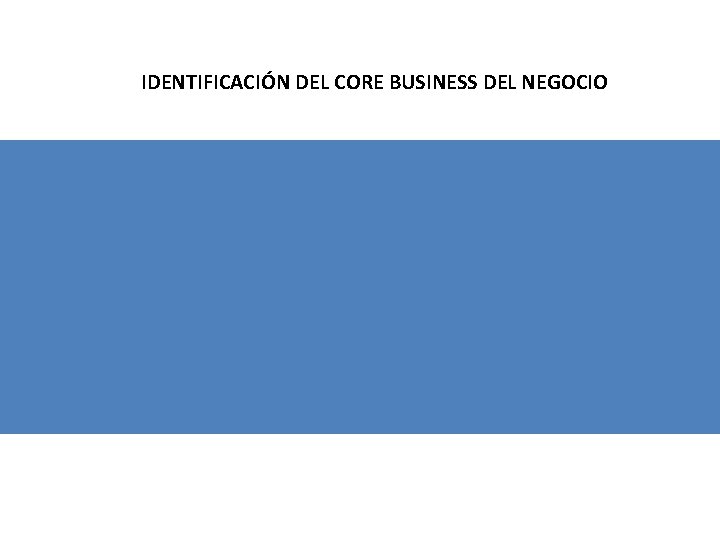 IDENTIFICACIÓN DEL CORE BUSINESS DEL NEGOCIO 