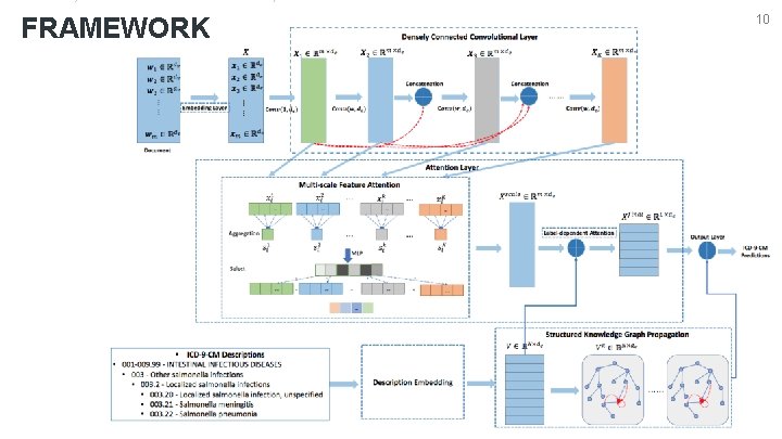 FRAMEWORK 10 
