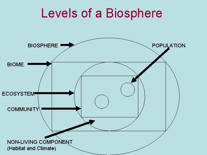 Levels of a Biosphere BIOSPHERE BIOME ECOSYSTEM COMMUNITY NON-LIVING COMPONENT (Habitat and Climate) POPULATION