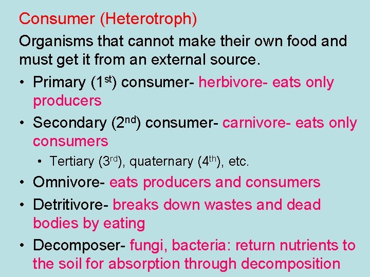 Consumer (Heterotroph) Organisms that cannot make their own food and must get it from