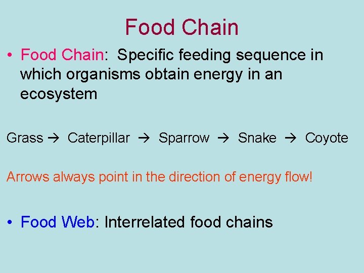 Food Chain • Food Chain: Specific feeding sequence in which organisms obtain energy in