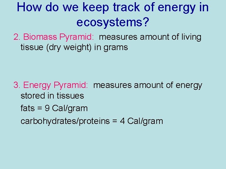 How do we keep track of energy in ecosystems? 2. Biomass Pyramid: measures amount