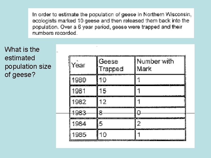 What is the estimated population size of geese? 