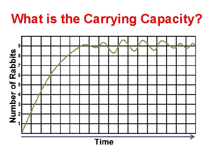 What is the Carrying Capacity? 