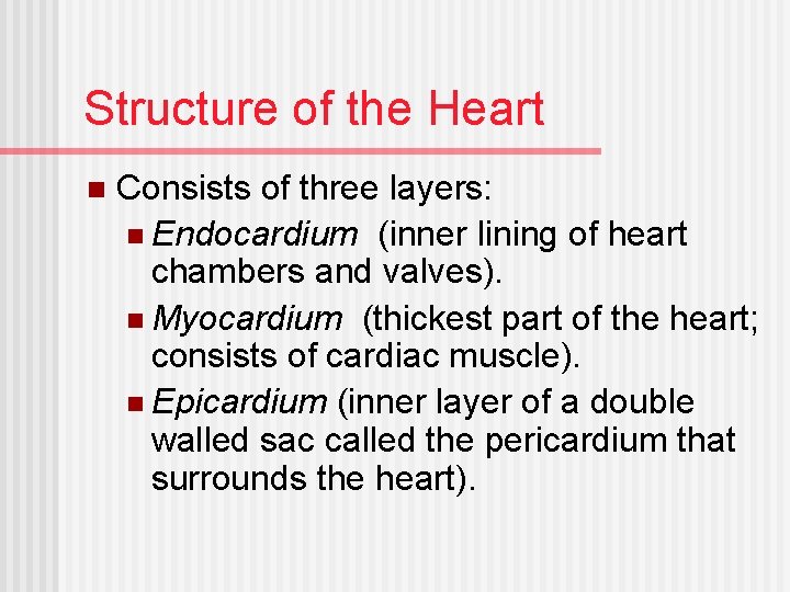 Structure of the Heart n Consists of three layers: n Endocardium (inner lining of