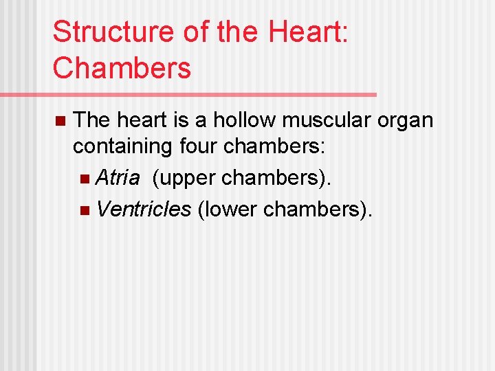 Structure of the Heart: Chambers n The heart is a hollow muscular organ containing