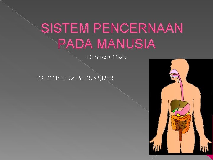 SISTEM PENCERNAAN PADA MANUSIA Di Susun Oleh: TRI SAPUTRA ALEXANDER 