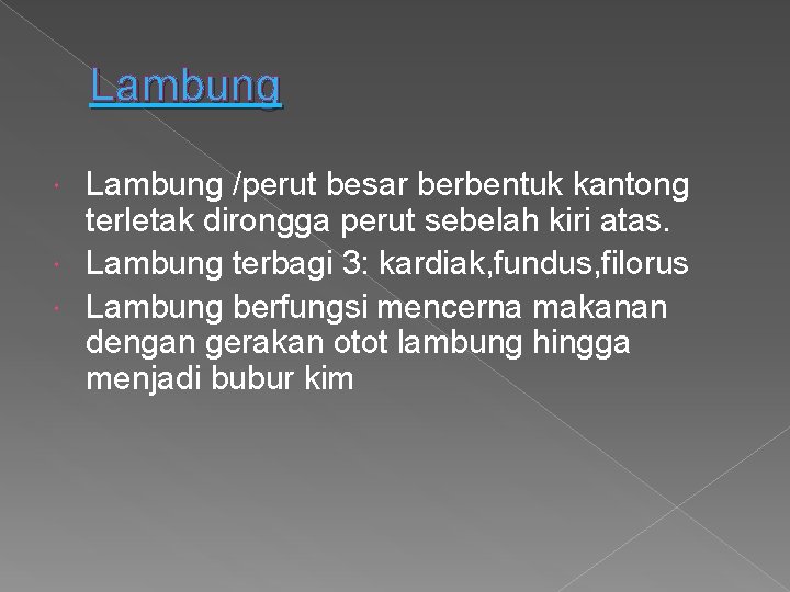 Lambung /perut besar berbentuk kantong terletak dirongga perut sebelah kiri atas. Lambung terbagi 3: