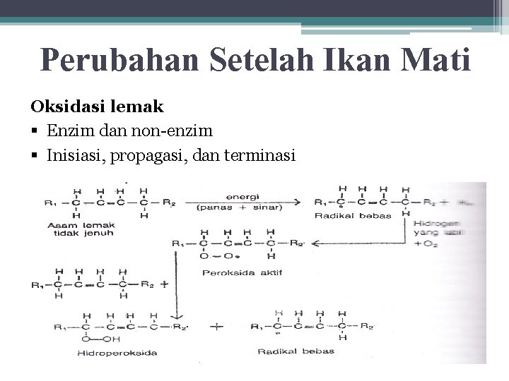 Perubahan Setelah Ikan Mati Oksidasi lemak § Enzim dan non-enzim § Inisiasi, propagasi, dan